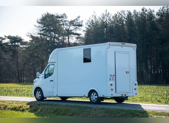 NEW RENAULT - MASTER (0000)