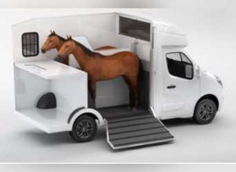 Paragan Equistar 3, Renault Master