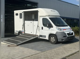 Pferdetransporter Equitrek 85.000KM Klima Viehtransporter LKw Tiertransporter VAN