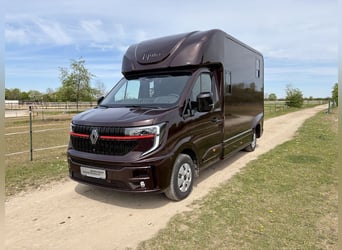 Renault 2-Horse Trailer with 5 Seats, Stallion Equipment, Automatic Transmission, New Truck – Immedi