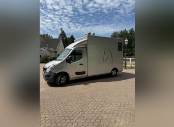 Renault Master 2-Horse Trailer