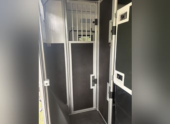 Renault Master 2-Horse Trailer