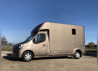 Renault ROELOFSEN 2-Pferdetransporter Automatik 180 PS TOP Gebraucht Metallic Farbe