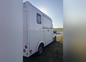 Two-Pony Horse Transporter, 3.5-ton Truck