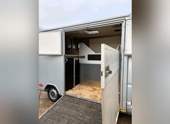 Used Renault Master horsebox for sale
