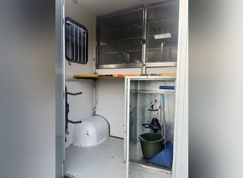 Excellent horse transporter Renault MTM