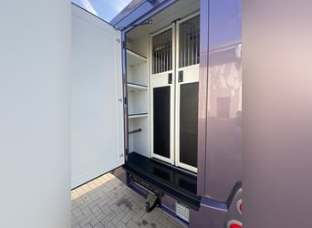Horse Transporter Opel Movano 3.5t, 2 stalls, registered in 2021