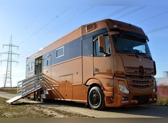 Horse truck in special paint finish