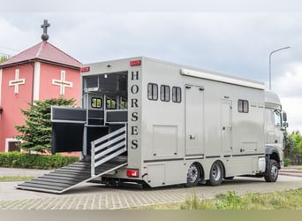 Koniowóz DAF XF 480 / EURO 6 / zabudowa specjalna na 4 KONIE