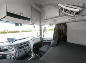 Koniowóz DAF XF 480 / EURO 6 / zabudowa specjalna na 4 KONIE