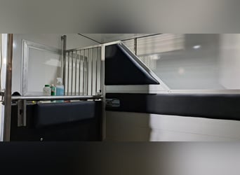 Koniowóz Renault Master 2.3 - Top