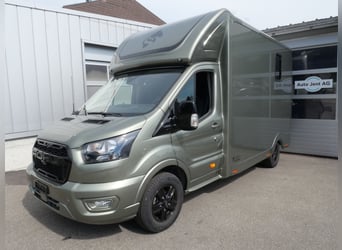 FORD Sodiak Luxury Horsebox Self-Drive Horse Transporter