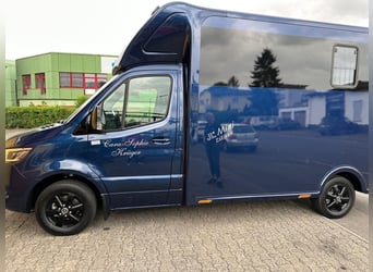 JL Mercedes-Benz Sprinter horsebox transporter, box body, first registration 2023, 8,250 km traveled