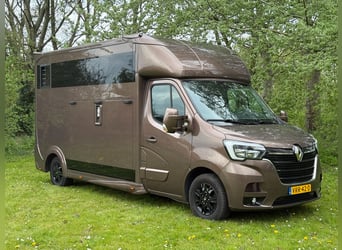 Luxury horse transport vehicle Renault Master