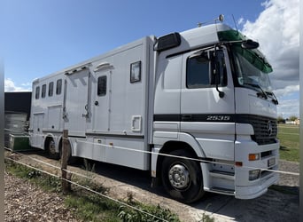 Mercedes Actros horse transporter for 6 horses with living quarters