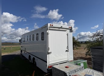 Mercedes Actros horse transporter for 6 horses with living quarters