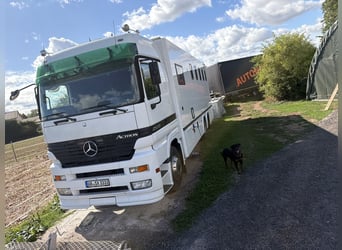 Mercedes Actros horse transporter for 6 horses with living quarters