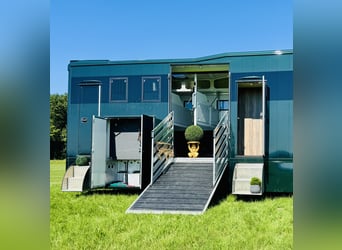 MAN 18.320 TGM NEU von TV Star Jens Hilbert 285.000 Netto 