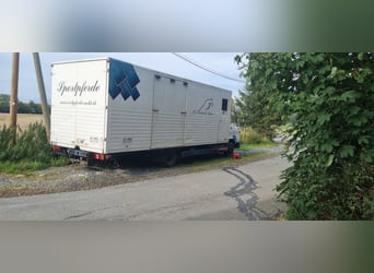 MAN Pferdetransporter mit Stallzelt ohne TÜV