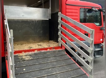 MAN TGL 12.220 für drei Pferde + zwei Kutschen inkl. Stallzelt 