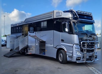 Mercedes-Benz Actros 2551 Horse Truck + Living (2017) —  5–6 horses — 23.236 km — Euro 6