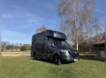 Mercedes-Benz Sprinter 2-Horse Transporter with Automatic Transmission, Stallion Equipment, Truck