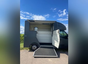 MSG Stablehopper Superlight 8700km Automatik 2 Großpferde