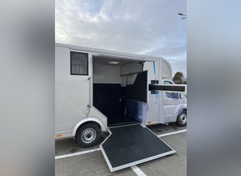 Peugeot Boxer Horsebox 2024, only 29,000 km, brand-new conversion – still under warranty