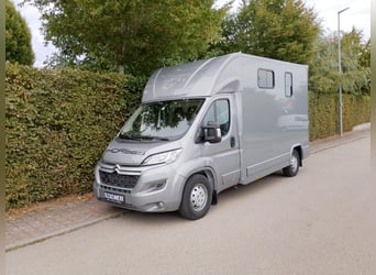 Pferdetransporter DT Citroen Jumper Hengstausstattung 165PS Klima Viehtransporter Tiertransporter