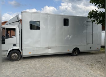 Pferdetransporter LKW 7,49 t - Iveco