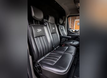 Pferdetransporter LKW Sprinter Renault Master STX 3 Haras