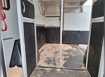 Renault Master Theault paardenwagen hengsten uitvoering