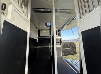 Renault Pferde-Sprinter – 2-Pferde