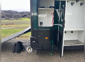 STX Pferdewohnmobil LKW IVECO Stralis 360 