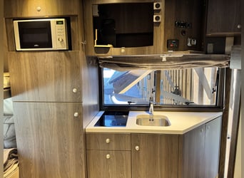 STX Pferdewohnmobil LKW IVECO Stralis 360 