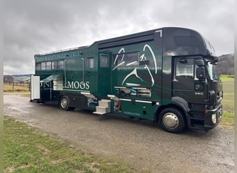 STX Pferdewohnmobil LKW IVECO Stralis 360 