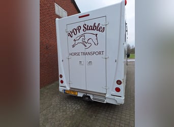 Theault Proteo Hengstenuitvoering Renault Master 2014  
