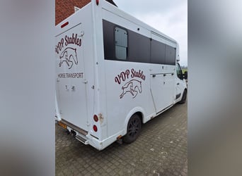 Theault Proteo Hengstenuitvoering Renault Master 2014  