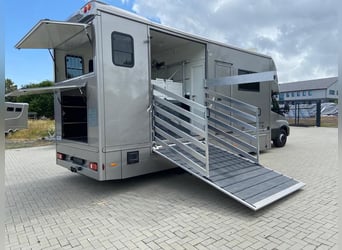 Iveco Horse Transporter for 2-3 Horses, Brand New Vehicle