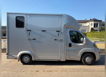 Used horse trailer in excellent condition