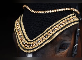 Horse bonnet Olympic Grace