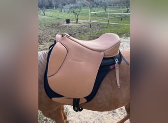 Ghost saddle in highest quality leather