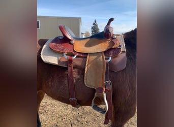 17" Rico barrel saddle 