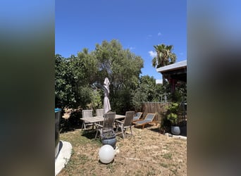 Andalusia and Its Wonderful Horses – Jerez de la Frontera