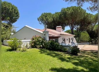 Exclusive luxury riding holidays at Lusitano Masterhorses
