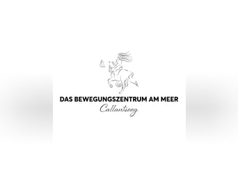 Hidden gem for your dream holiday with your own horse in the Netherlands