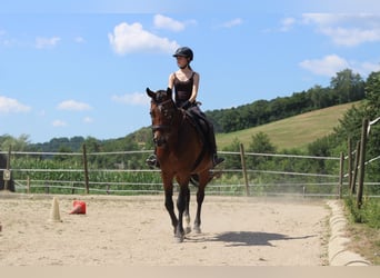 Horse Riding Holidays – More Than Just Riding