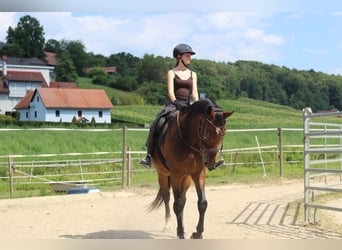 Horse Riding Holidays – More Than Just Riding