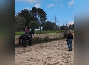 Intensive training days with Josephine Cyr in Martina Franca – Italy