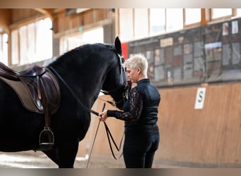 Intensive training days with Josephine Cyr in Martina Franca – Italy